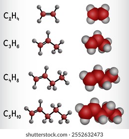 Homologe Reihe von Alkenen. Ethen, Propen, Buten, Penten, molekulare Strukturen und Modelle. Vektorgrafik