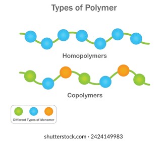 Homopolymere bestehen aus identischen Monomeren, während Copolymere verschiedene Monomere für unterschiedliche Materialeigenschaften kombinieren.