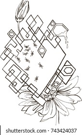 
Honey abstraction with bees and sunflowers