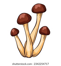 Honey agaric in cartoon style. Armillaria sketch, hand drawn. Vector illustration isolated on a white background.