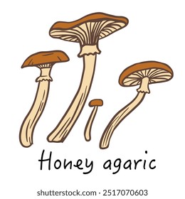 Honey agaric line doodle icon. mushroom illustration isolated on white background for book, market, restaurant menu, package cookbook, recipe design.