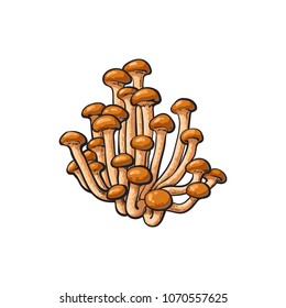 Honey agaric mushrooms icon. Hand drawn armillaria mellea edible fungus. Sketch style natural organic vitamin food. Healthy vegetarian gourmet ingredient. Vector isolated illustration