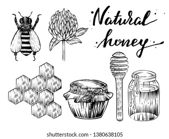 Honey and all related to it things, vector, engraving style