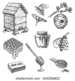 Honey and apiary beekeeping, vector sketch icons of honeycomb, bee hive and wooden dipper spoon. Honey splash drops, bee on flower, propolis and jar port for apiculture products package design