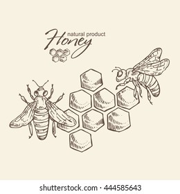 Honey background with a bee and honeycomb, hand drawn