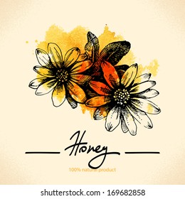 Honey background with hand drawn sketch and watercolor illustration	