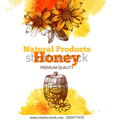 Honey background with hand drawn sketch and watercolor illustrations. Menu and package design	