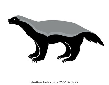 Honey badger animal from side vector illustration. Honey badger icon vector isolated on white background. Honey badger silhouette graphic design element