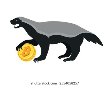 Honey badger with bitcoin golden coin vector illustration. Honey badger animal and bitcoin gold coin icon vector isolated on white background. Honey badger silhouette