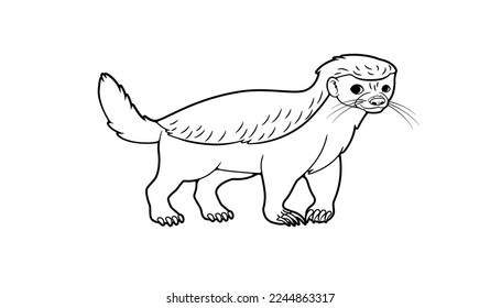 Honey badger, cartoon style coloring book, black and white isolated image, vector illustration, one line