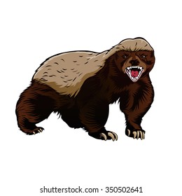 Honey Badger Illustration 