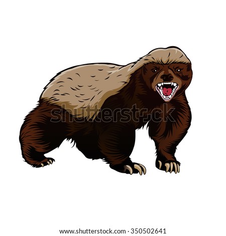 Honey Badger Illustration Stock Vector (Royalty Free) 350502641