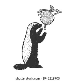 Honey badger ratel eats honey from wild bees hive animal sketch engraving vector illustration. T-shirt apparel print design. Scratch board imitation. Black and white hand drawn image.