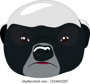 honey badger vector illustration