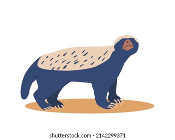 Honey Badger Wild African Animal Isolated on White Background. Predator of Africa Fauna, Wildlife Creature, Safari, Zoo Park Funny Mascot, Desert Mammal. Cartoon Vector Illustration