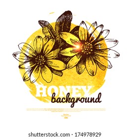 Honey banner with hand drawn sketch and watercolor illustration	