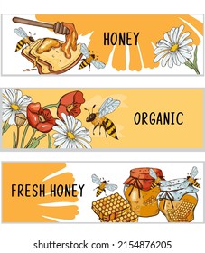Honey banners or labels set, hand drawn color engraved illustrations. Horizontal banners or labels for food packs design and beekeeping, apiary promotion.