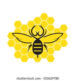 Honey bee