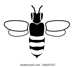 Honey bee