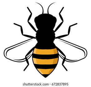 Honey Bee