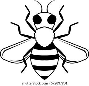 Honey Bee