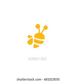 Honey bee