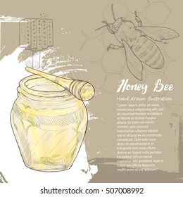 Honey bee background with  bee hand drawn illustration