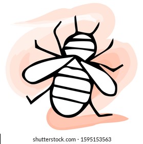 Honey bee. Black and white hand-drawn vector illustration isolated by hand.