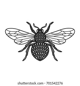 Honey Bee. Black and white image. Hand drawn honey bee.