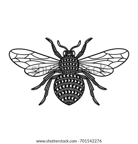 Honey Bee. Black and white image. Hand drawn honey bee.