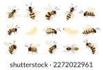 Honey bee bug. Winged buzz flying insect, striped bumblebee wasp with sting, beekeeping mead gathering honeycraft concept. Vector cartoon set of buzz insect and bee illustration