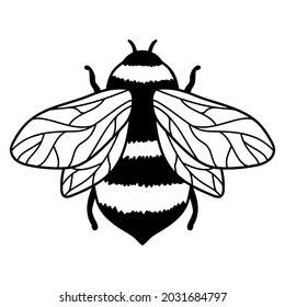 Honey bee or bumble isolated on white background. Insect in hand drawn style. Vector monochrome illustration .