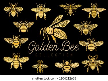 Honey bee bumblebees wasps set sketch style collection insert wings emblem symbols Hand drawn vector engraving illustration