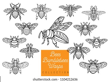 Bee Tattoo High Res Stock Images Shutterstock