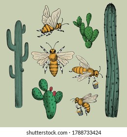Honey, bee, cactus, desert,nature pattern. Vintage set vector elements. Package design.