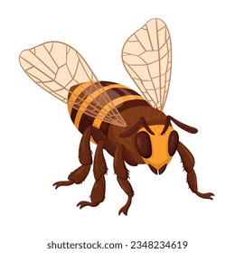 Honey bee. Cartoon flying bee insect, striped cute insect. Winged bumblebee flat vector illustration on white background