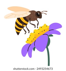 Honey bee collect pollen from flower. Vector illustration.