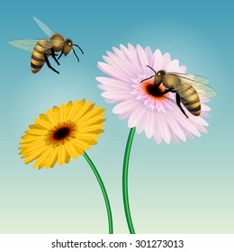 Honey bee collecting nectar on a flower. Isolated on white. Vector illustration