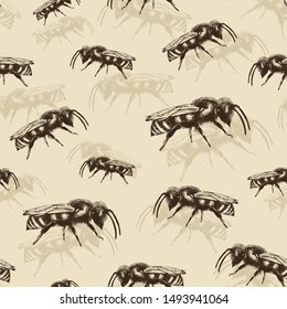 Honey bee color vector seamless pattern in engraving style on beige background
