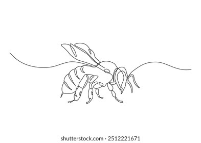 Honey bee continuous one line drawing. Honeybee insect single line art illustration. Editable vector.