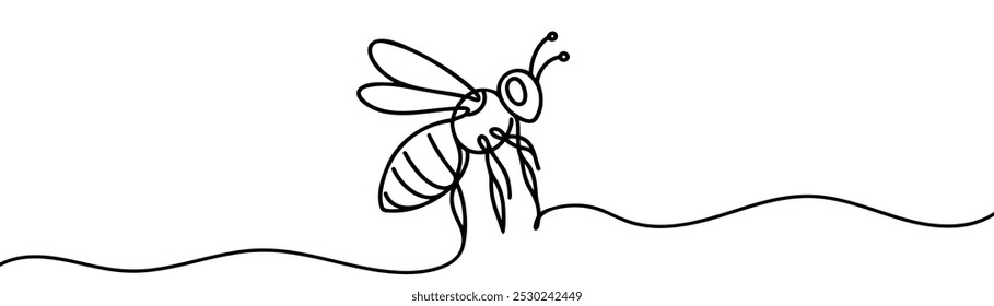 Honey bee continuous one line drawing. Honeybee insect single line art illustration. Editable vector.