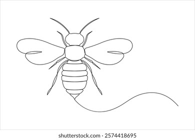 Honey bee continuous one line art drawing of vector