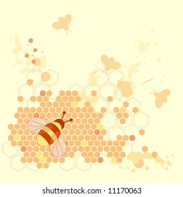 Honey Bee Design