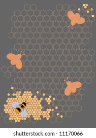 Honey Bee Design