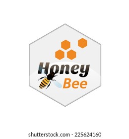 Honey and bee design hexagon vector