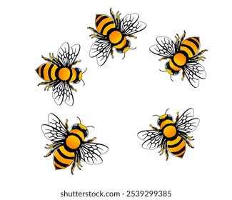 Icono de detalle de abeja de miel de cerca aislado sobre fondo blanco. Plantilla de diseño de abeja de miel reina