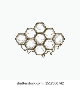 Honey Bee Drawing Engraving Illustration