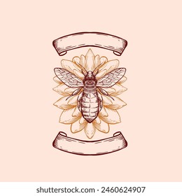 Honey Bee Drawing Engraving Illustration