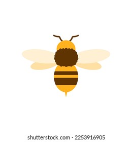 honey bee flat design vector illustration. Cute Bumble Bee. bumblebee character logo mascot