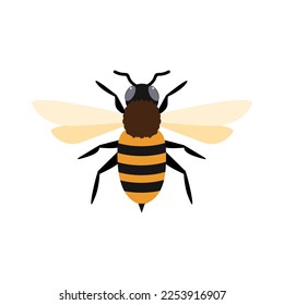 honey bee flat design vector illustration. Cute Bumble Bee. bumblebee character logo mascot